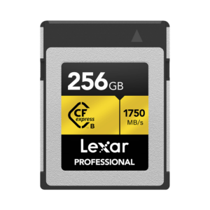 lexar professional cfexpress card type b 256gb