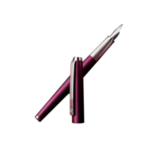 hongdian fountain pen (copy)