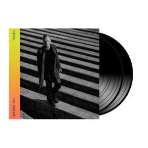 sting: the bridge (vinyl)